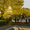 A staircase and a walkway on campus where students travel in both directions.