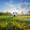 Foto: Ein Fußball liegt auf einem Fußballfeld. Hinter dem Ball scheint die Sonne hervor.